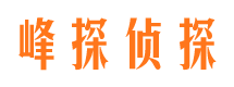 龙山市侦探调查公司